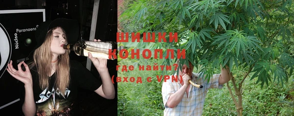 Альфа ПВП Богданович