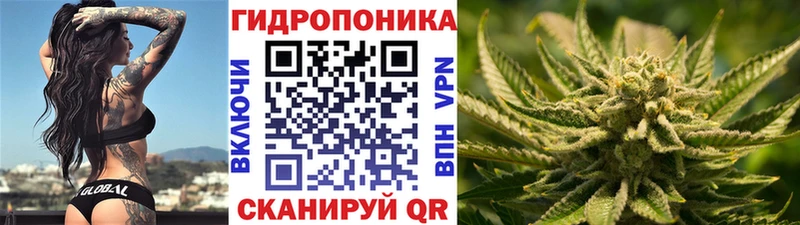 omg как зайти  Гороховец  Марихуана гибрид 